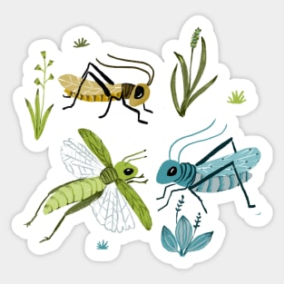 crickets Sticker